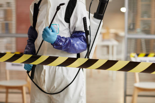 Professional Sewage Cleanup technician working in Elk, WA